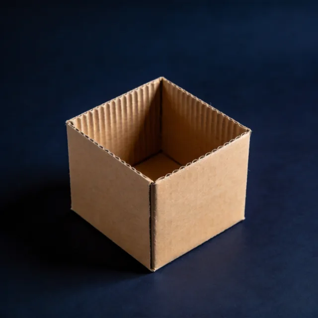 Cardboard body