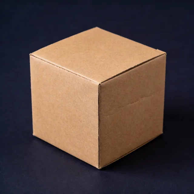 Cardboard body