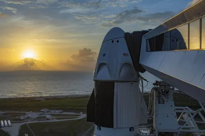 Falcon 9 Block 5 | Crew-1 cover image