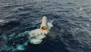 Ship 40 Back At Starbase After Surprise Reentry Survival