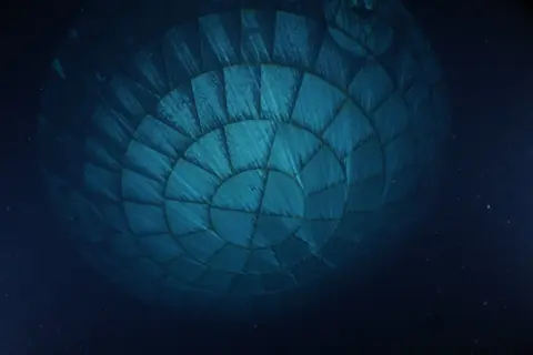 Artemis II Heat Shield After Splashdown