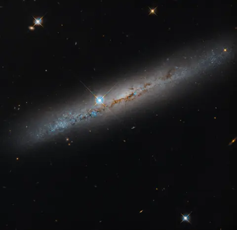 Spiral’s Edge