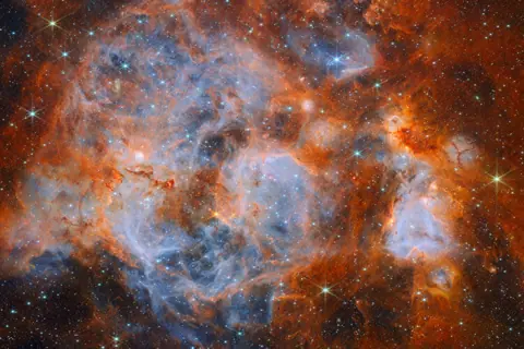 Stars brewing in a nebulous cauldron