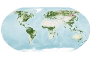 A map depicts vegetated parts of Earth's land surfaces from September 29 to October 4. Vegetation color is depicted on a spectrum ranging from dark green to light yellow to dark red. The largest patch