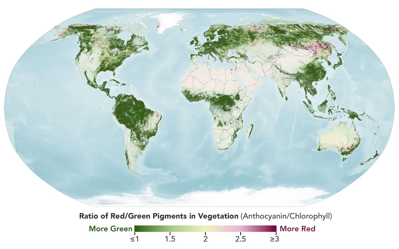 A similar global map depicts the redness of vegetation from October 5 to 11. The reddest areas have shifted equatorward, with more color visible in the Mid-Atlantic, the U.S. Southeast, southern Russi