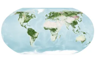 A similar global map depicts the redness of vegetation from October 5 to 11. The reddest areas have shifted equatorward, with more color visible in the Mid-Atlantic, the U.S. Southeast, southern Russi