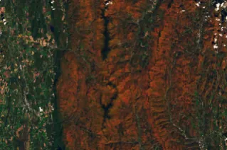 Ridges and mountains in a forested area appear orange, while river valleys and lower-elevation areas are still green.