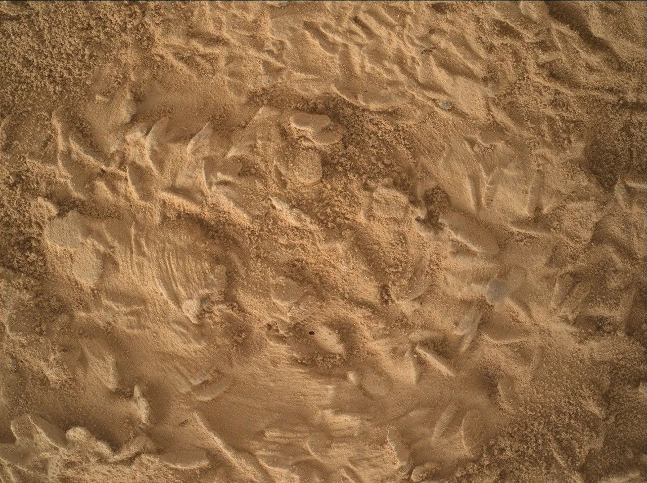 Curiosity Blog, Sols 5043-5049: Preparing to Drill at ‘Nazca’